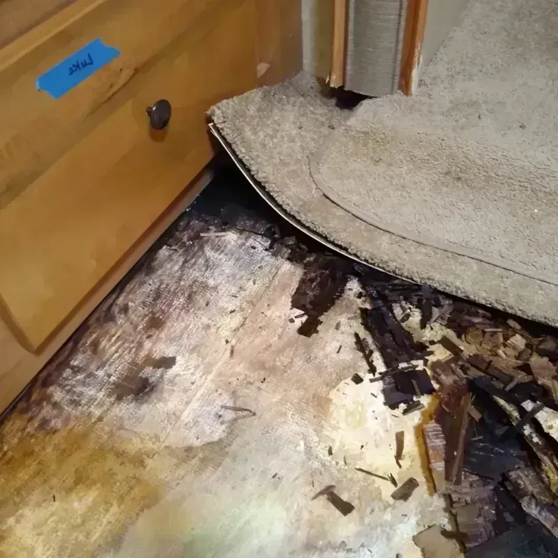 Wood Floor Water Damage in Camp Lake, WI